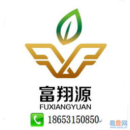 濟南公司代理記賬服務詳解 歷城區(qū)洪家樓易登網(wǎng)與知識產(chǎn)權(quán)代理的協(xié)同優(yōu)勢